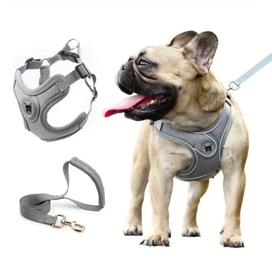 Padded Dog Harness & Leash Set - Red