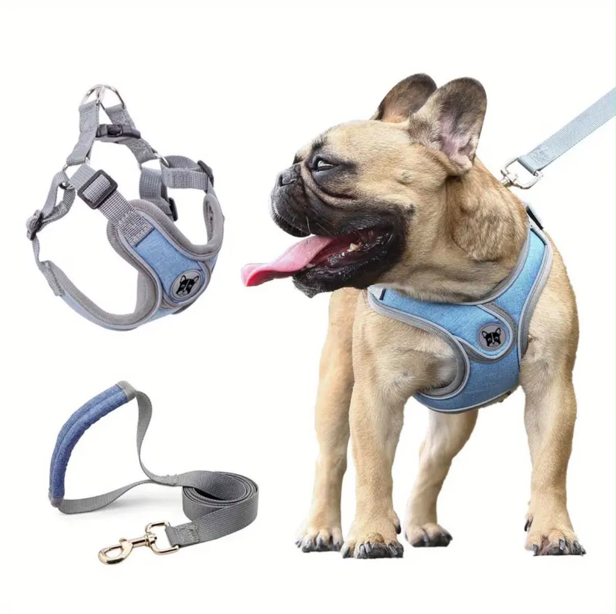 Padded Dog Harness & Leash Set - Blue